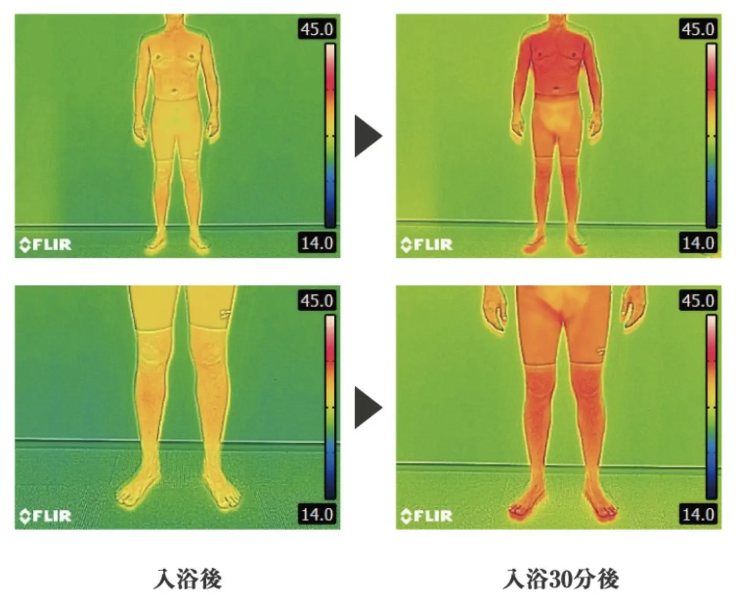 短時間で深部まで温熱が伝わりやすい